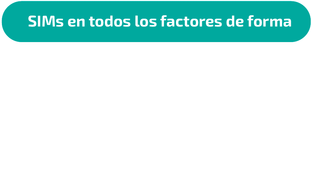 SIM-Form-Factors-animation